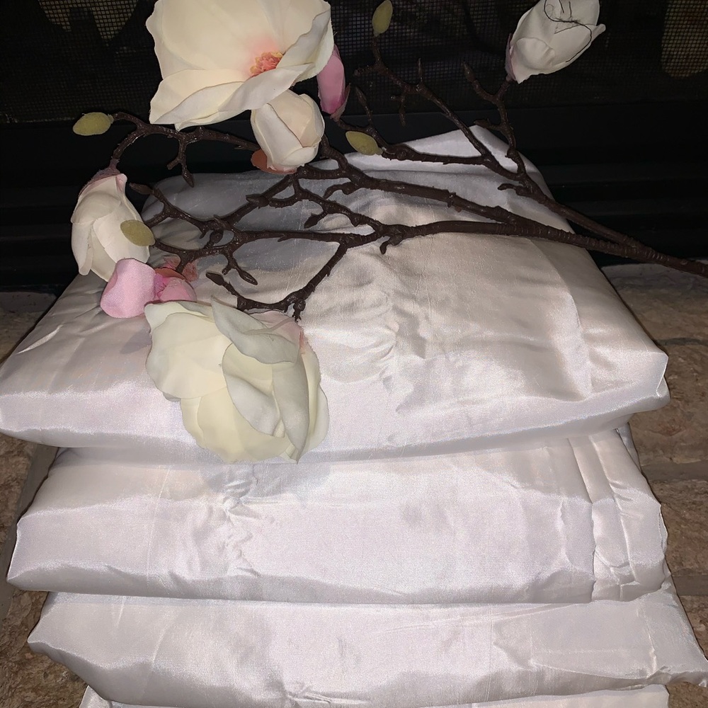 NWOT Curtains- Astoria Darkening Faux Silk